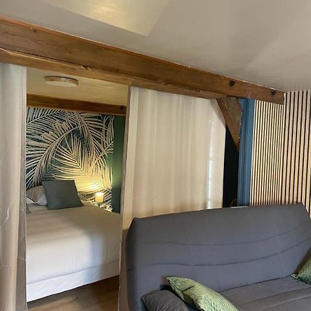 Appartement La Palme Bleue - 5 Mn Du Zooparc De Beauval à Saint-Aignan  Extérieur photo
