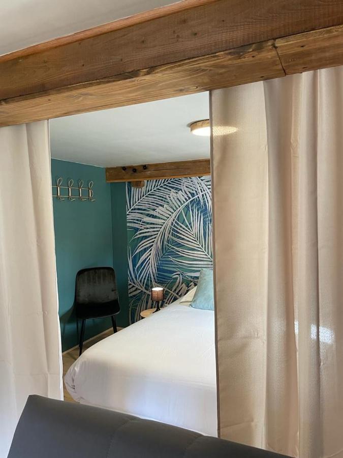 Appartement La Palme Bleue - 5 Mn Du Zooparc De Beauval à Saint-Aignan  Extérieur photo