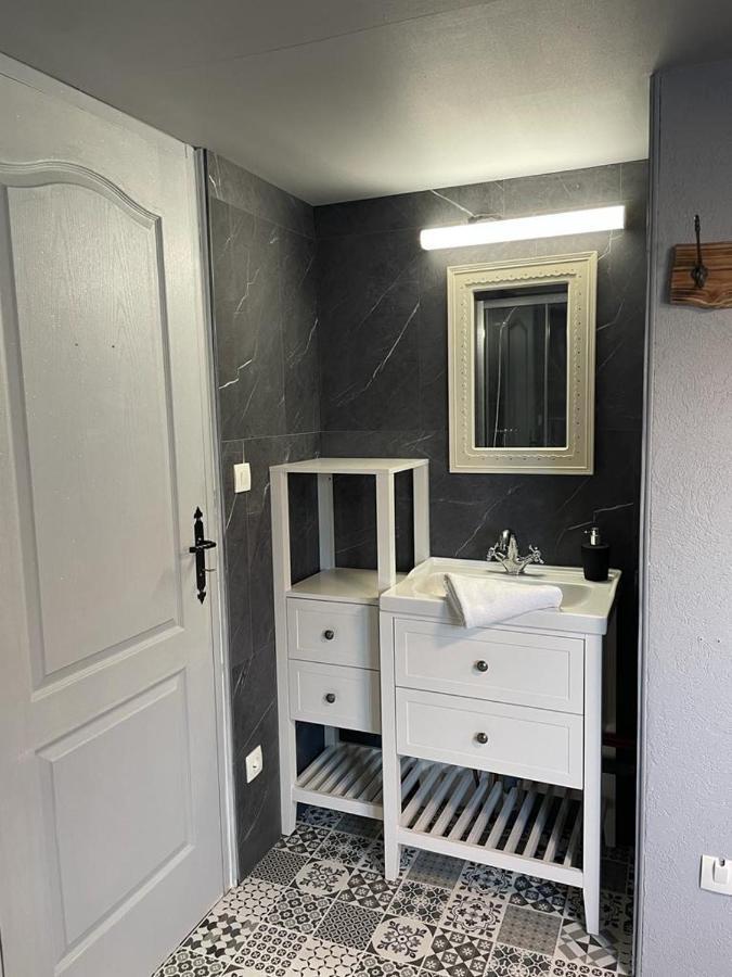 Appartement La Palme Bleue - 5 Mn Du Zooparc De Beauval à Saint-Aignan  Extérieur photo