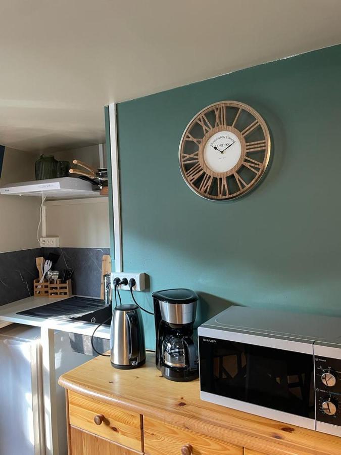 Appartement La Palme Bleue - 5 Mn Du Zooparc De Beauval à Saint-Aignan  Extérieur photo